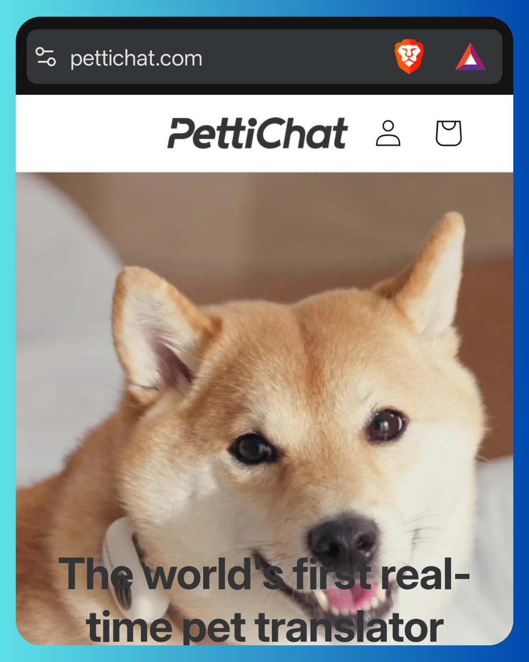 Pettichat